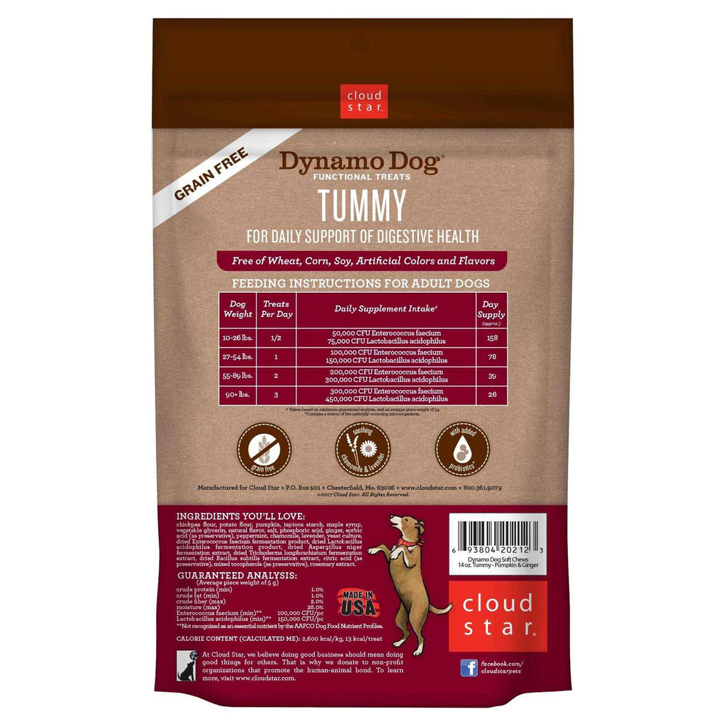 Pumpkin & Ginger Dog Treats Y277088