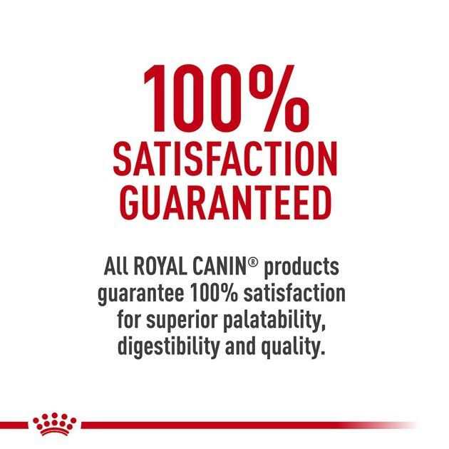 Veterinary Diet Canned Dog Food V4622