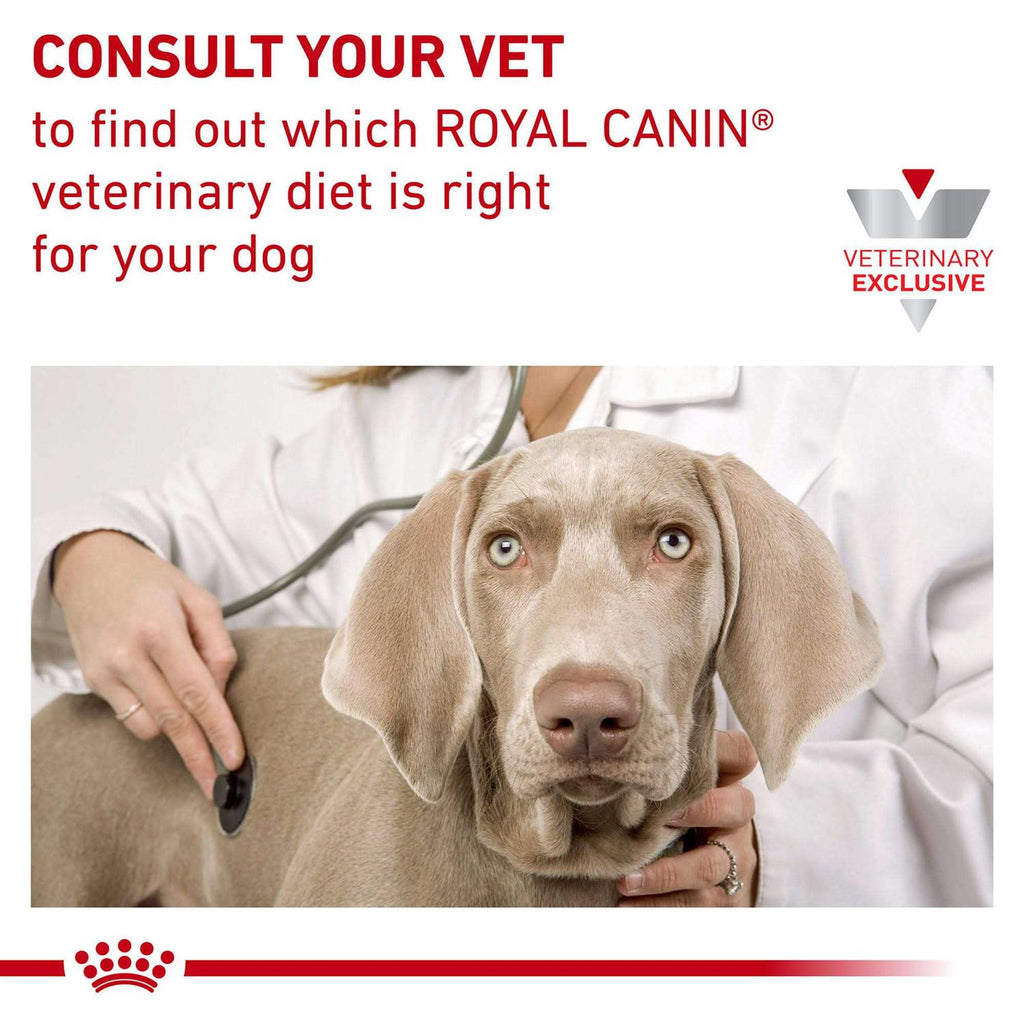Hydrolyzed Protein Canned Dog Food I7741