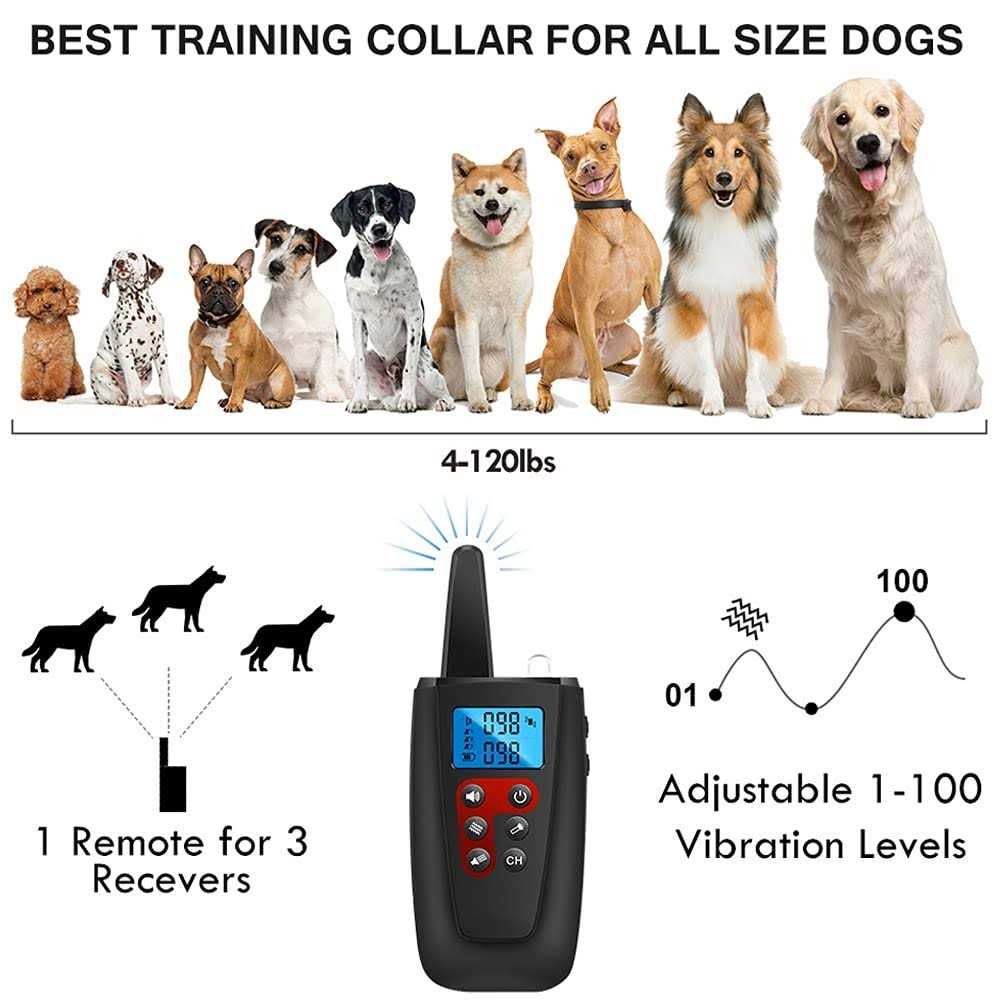 Dog Training Collar with Remote C44955