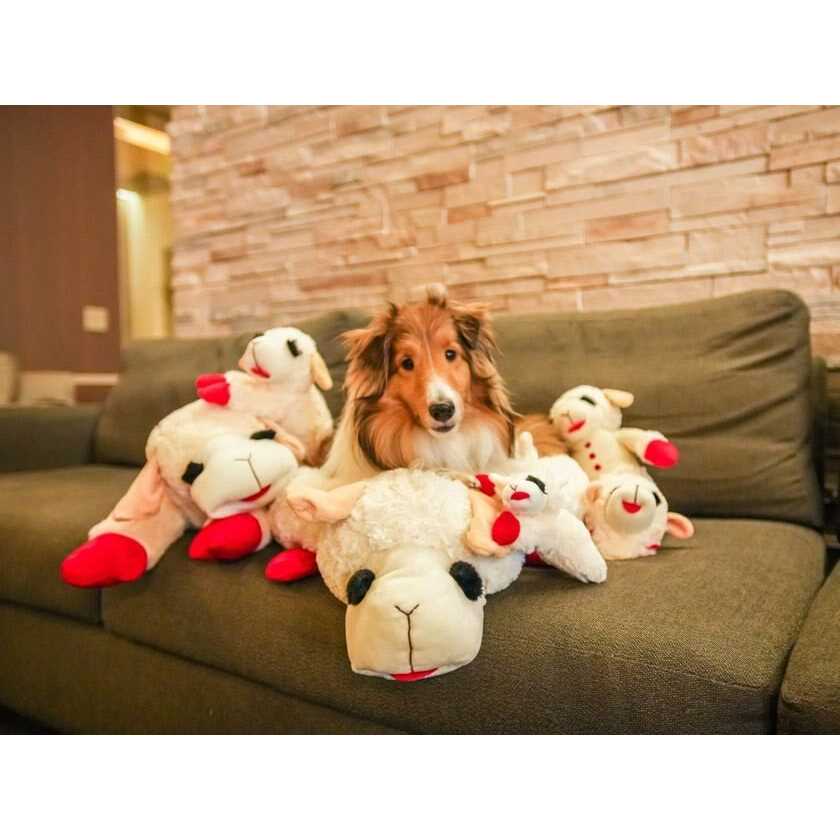 Lamb Chop Dog Bed G474