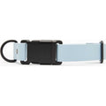 Dog Collar T771426