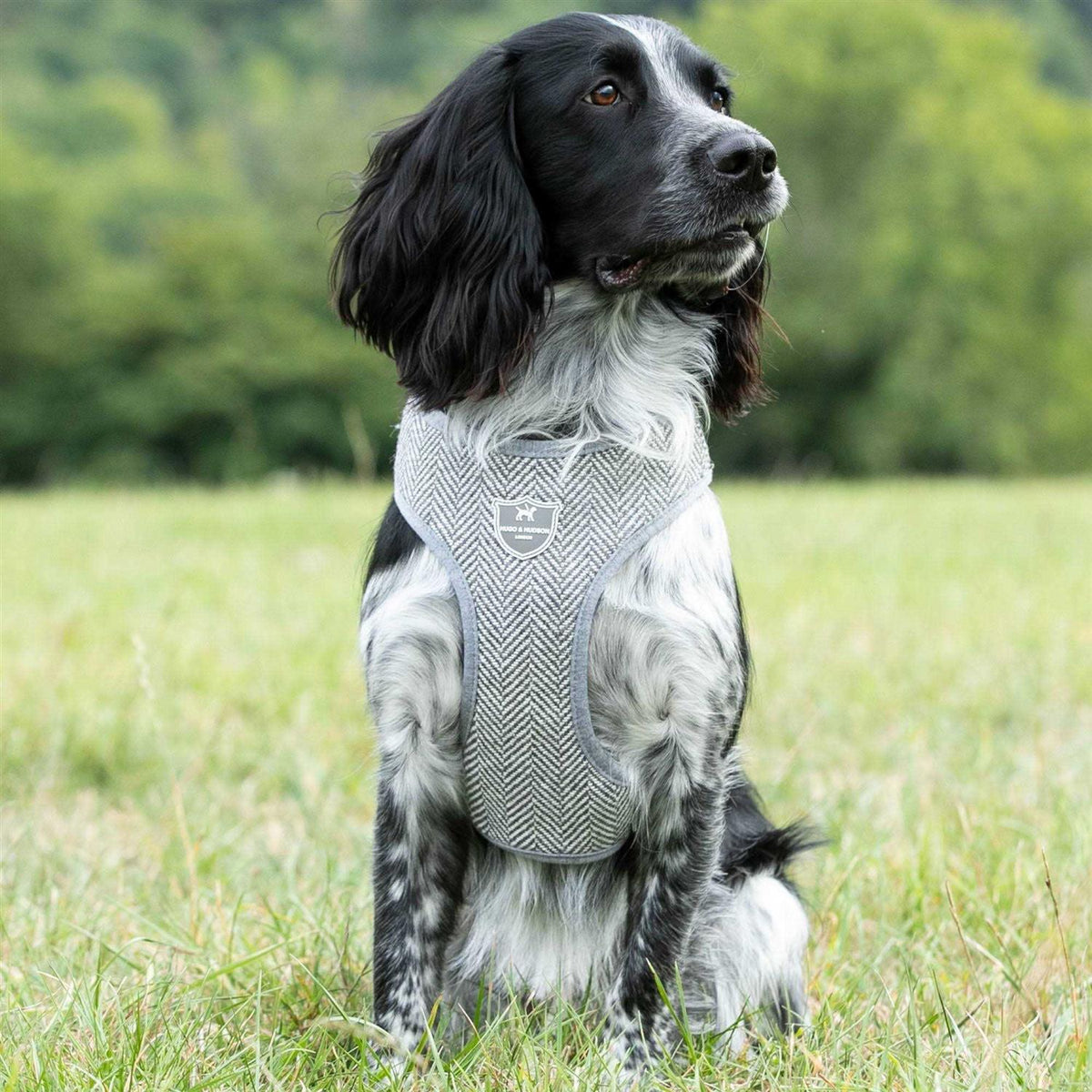 Tweed Dog Harness Vest S72793
