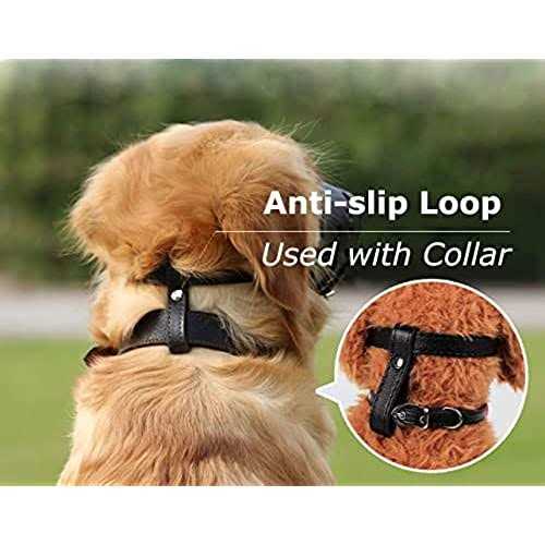 Leather Dog Muzzle J54384
