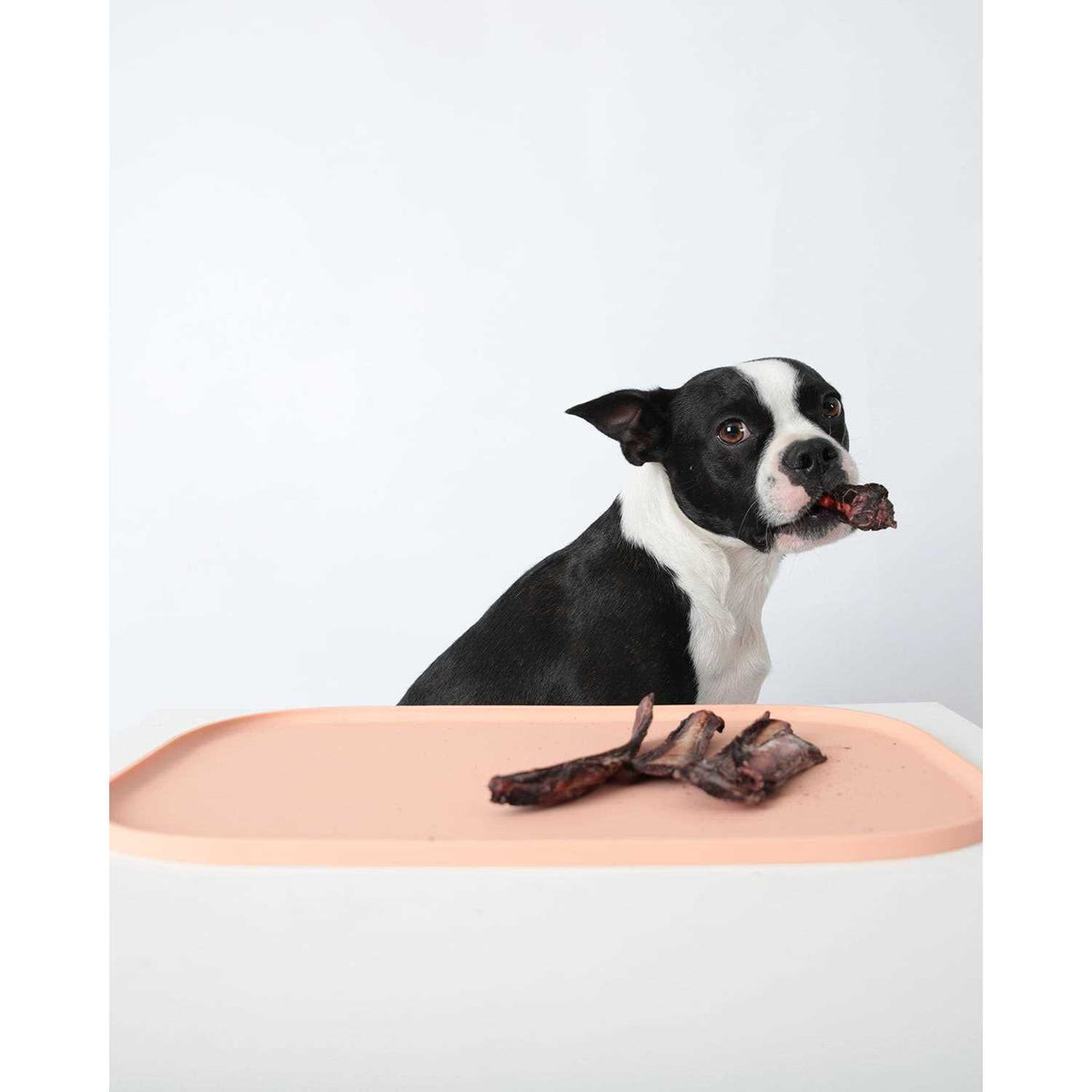 Pet Mat N1660
