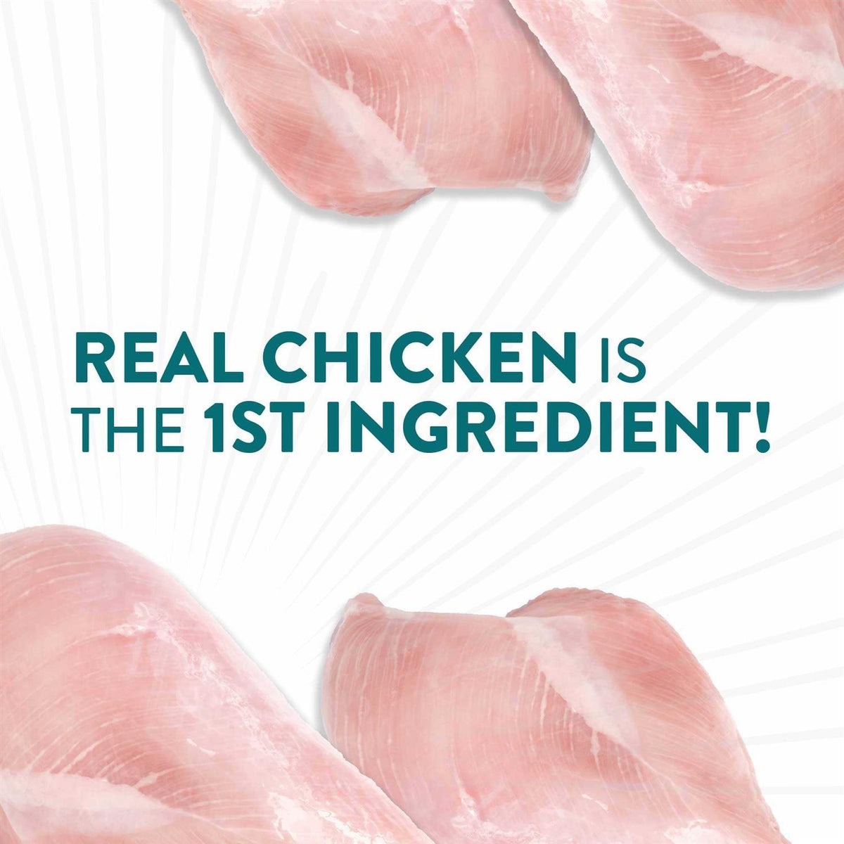 Chicken Dental Jerky Dog Treats D167