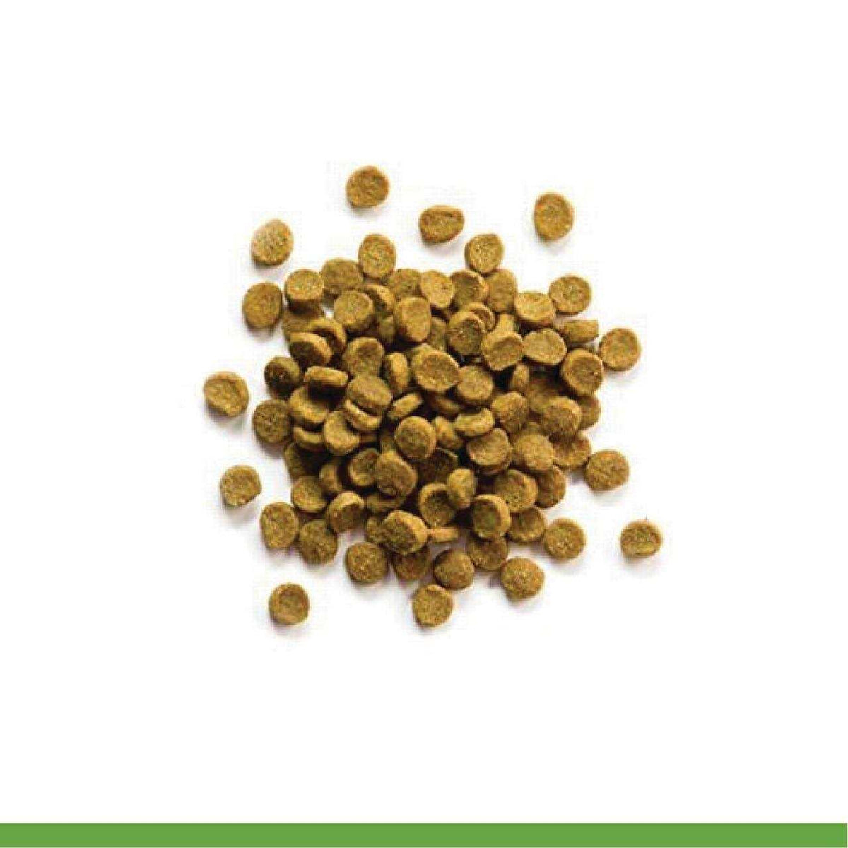 Grain Free Ferret Food S20147