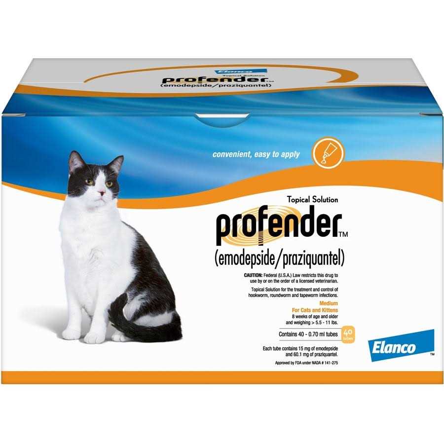 Large Cats 11.1-17.6lbs Y7835