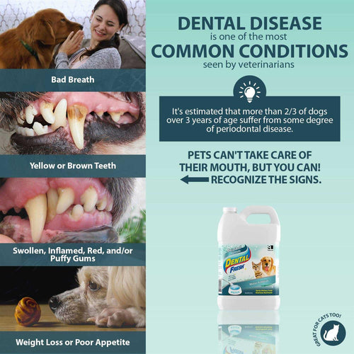 1 Gallon Dental Fresh S893
