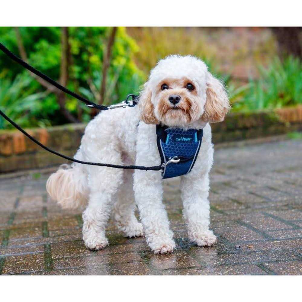 Crash Tested Dog Harness H601