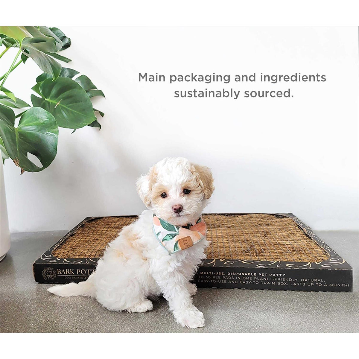 Disposable Dog Potty W95595