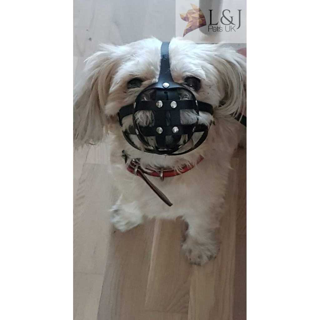Leather Dog Muzzle Y4305