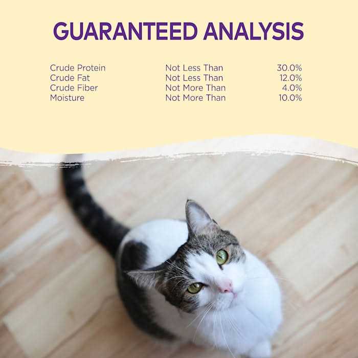 Cat Treats N247