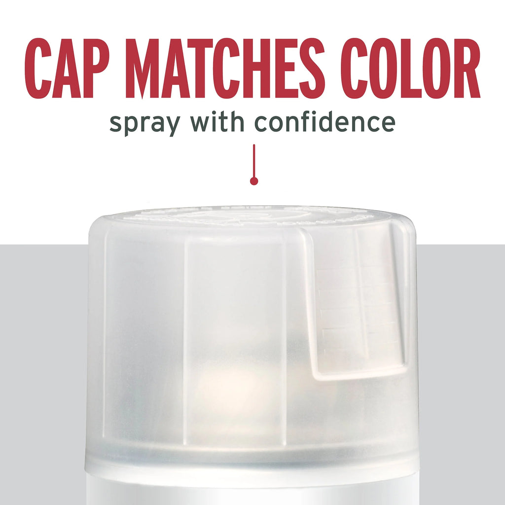 Clear Matte Protective Enamel Spray Paint, 12 oz T768