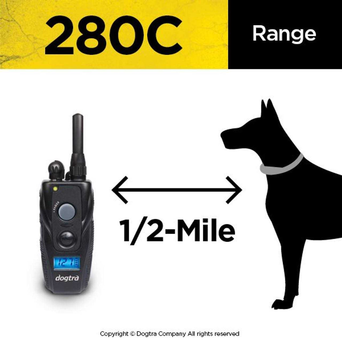 Dog Remote Training Collar B3438