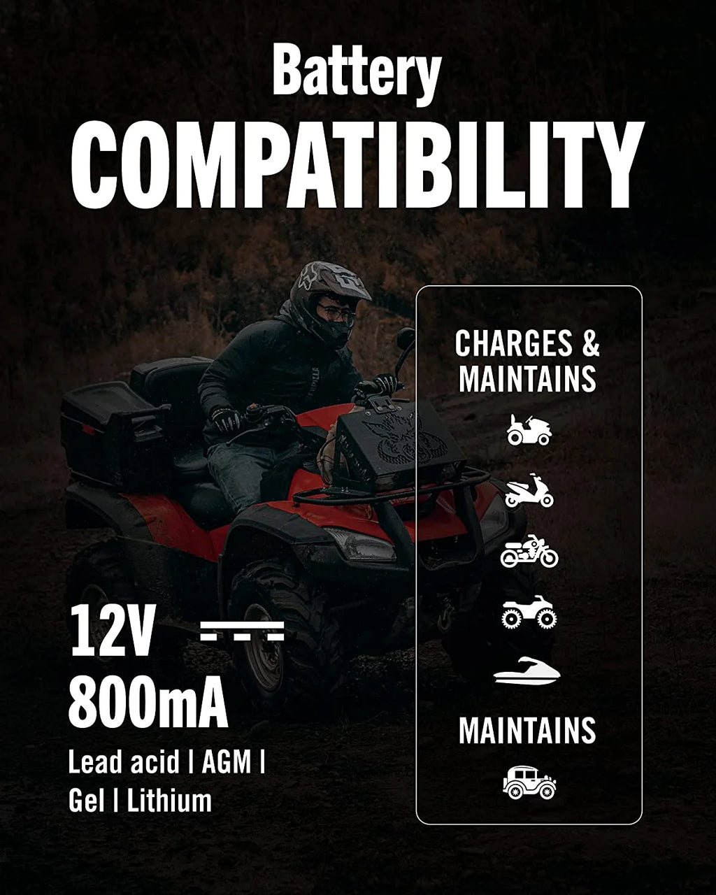 12V 800mA Battery Charger and Maintainer A234