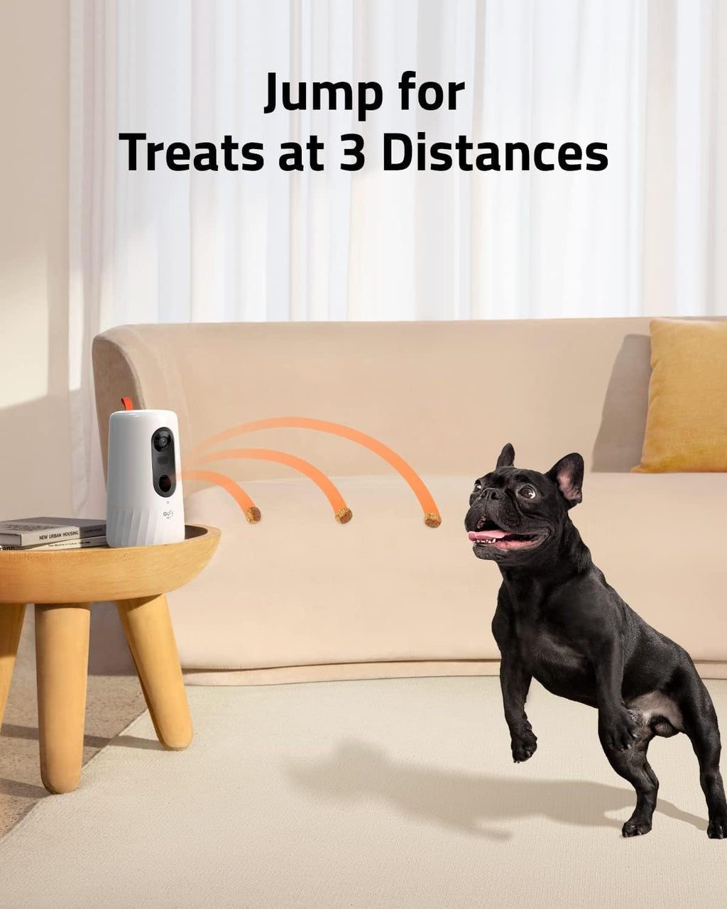 1080p Pet Camera with Treat Tossing, Night Vision, 2-Way Audio P4146
