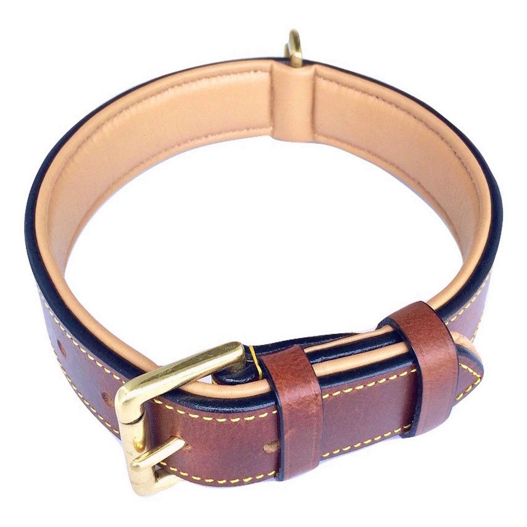Leather Padded Dog Collar K6214