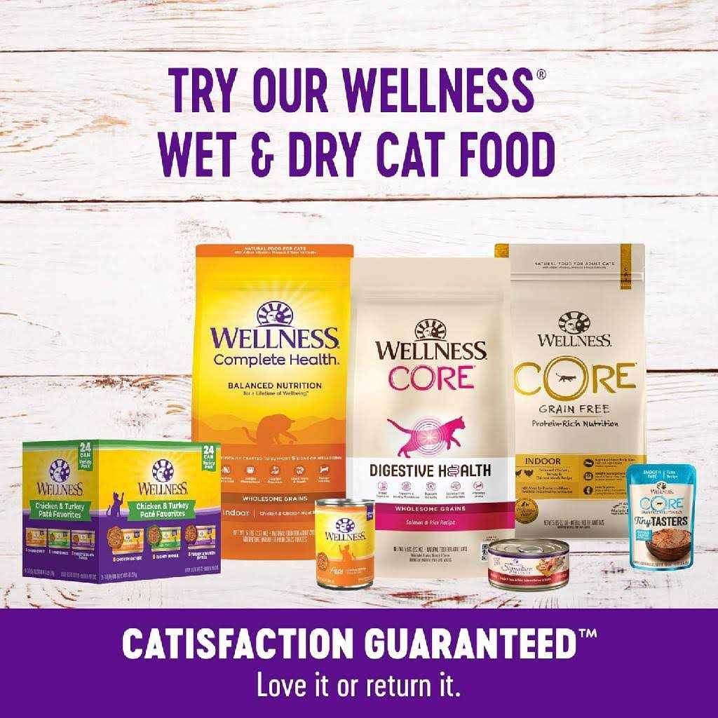 Cat Treats N247