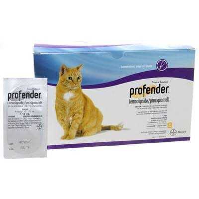 Large Cats 11.1-17.6lbs Y7835