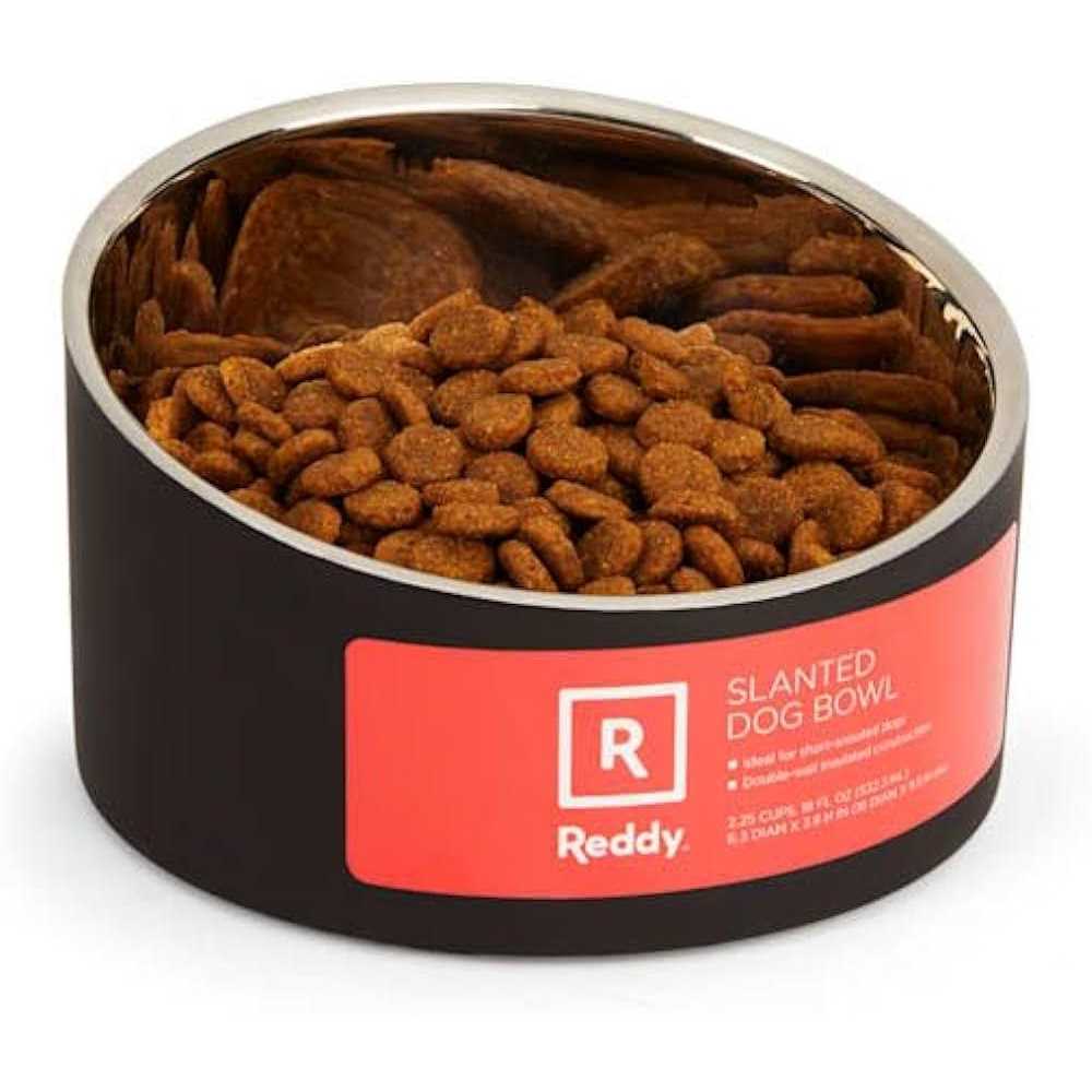 Stainless-Steel Slanted Dog Bowl S395708