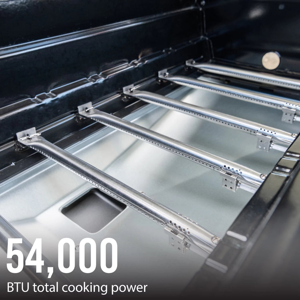6 Burner Propane Gas Grill in Black G920