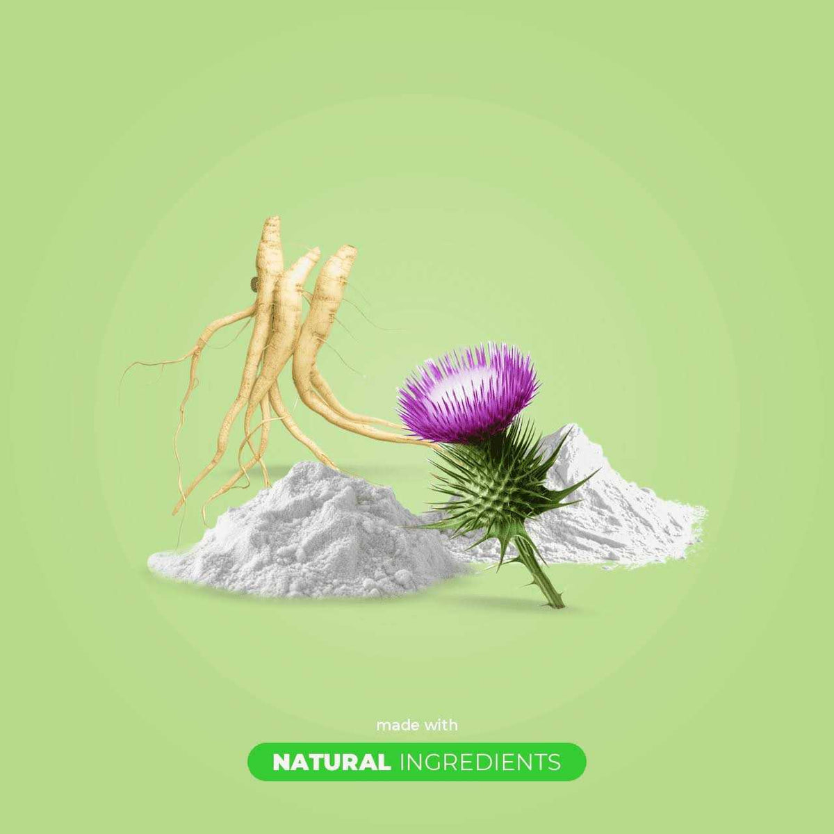Milk Thistle for Cats 4oz Powder Y3454