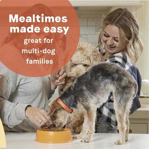Dry Dog Food Lamb Meal & Rice H235