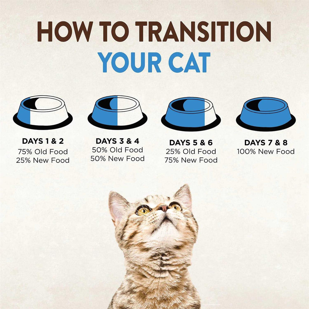 Grain Free Canned Cat Food U88203