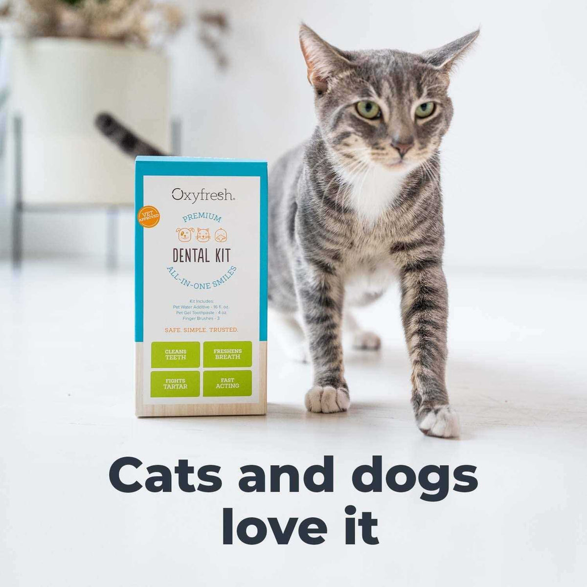 Pet Dental Kit E972828