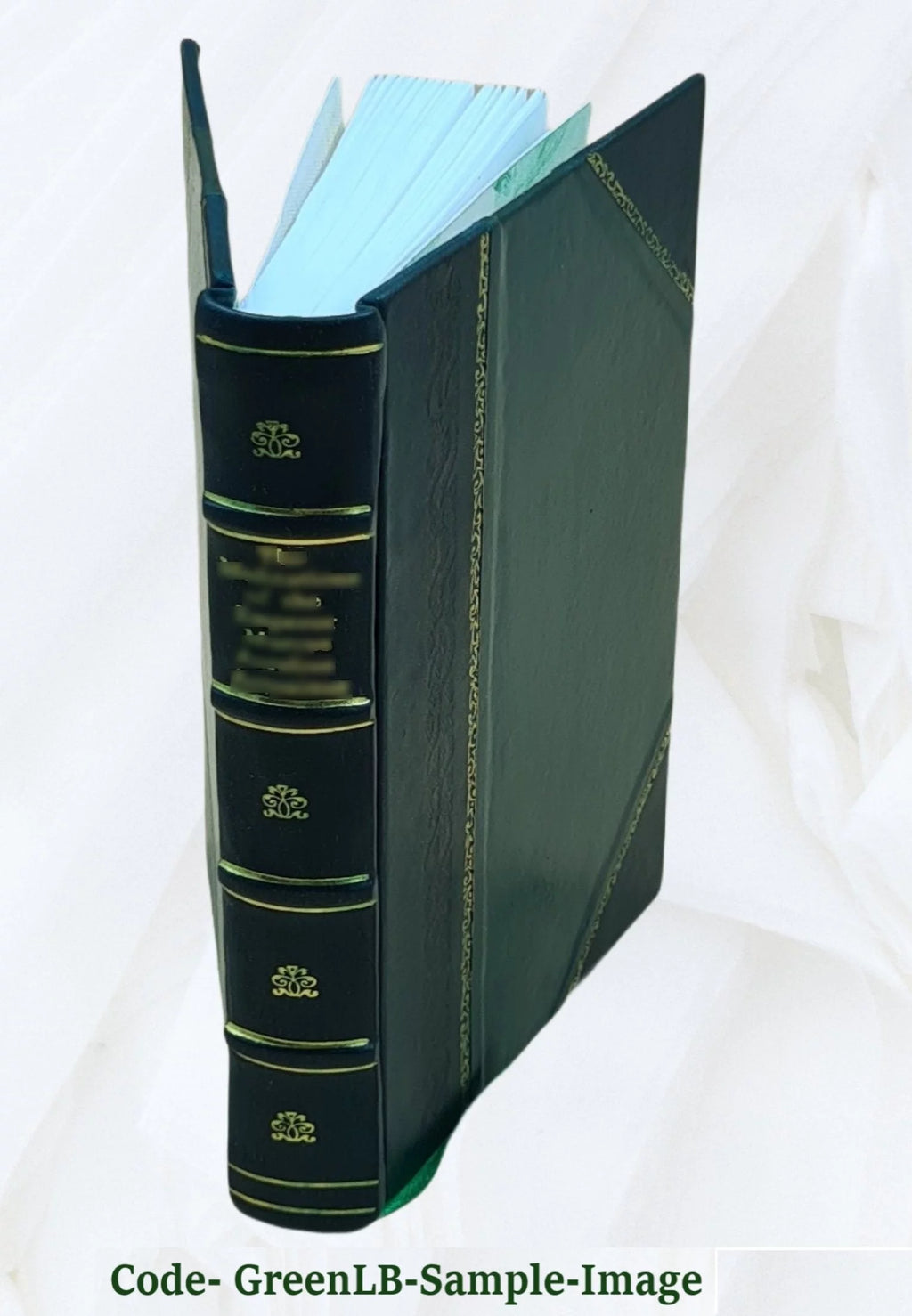 Satiras de Iuuenal Leather Bound P618