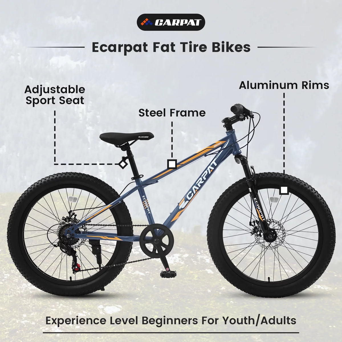 24 inch Mountain Bike with Fat Tires P408