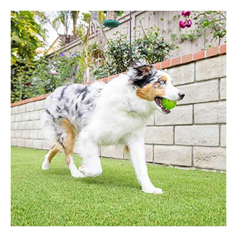 Dog Toy Ball G97719