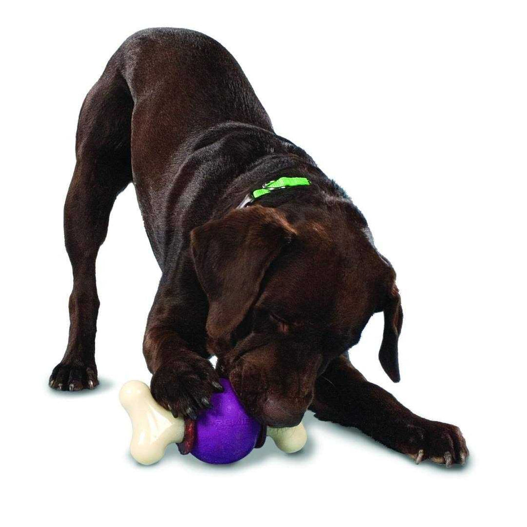 Bouncy Bone G1635