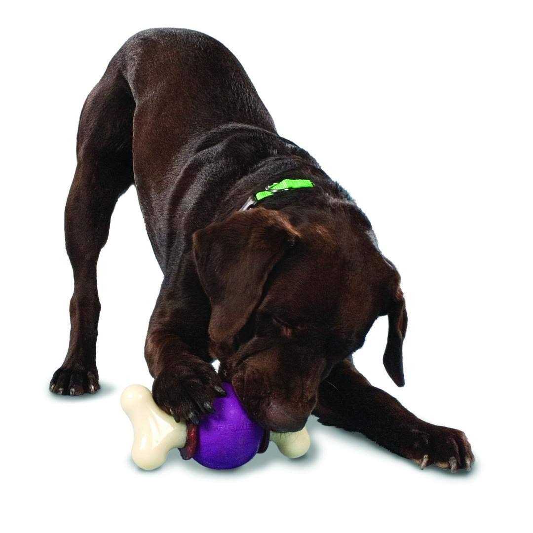 Bouncy Bone G1635