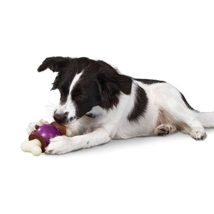 Bouncy Bone G1635