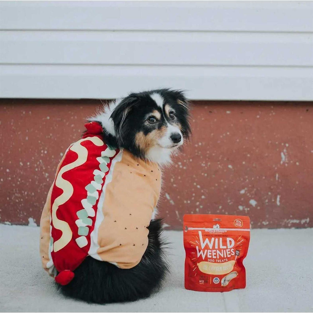 Freeze Dried Dog Treats L459