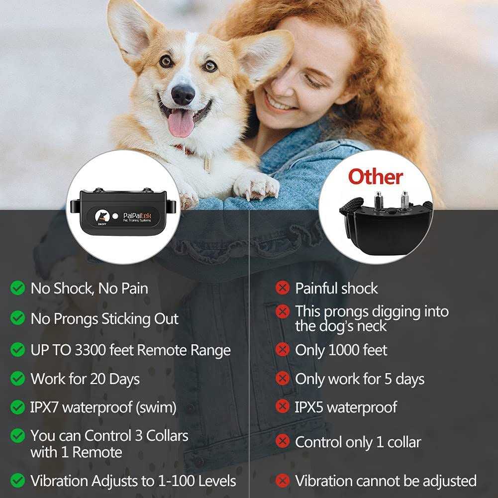 Dog Training Collar with Remote C44955