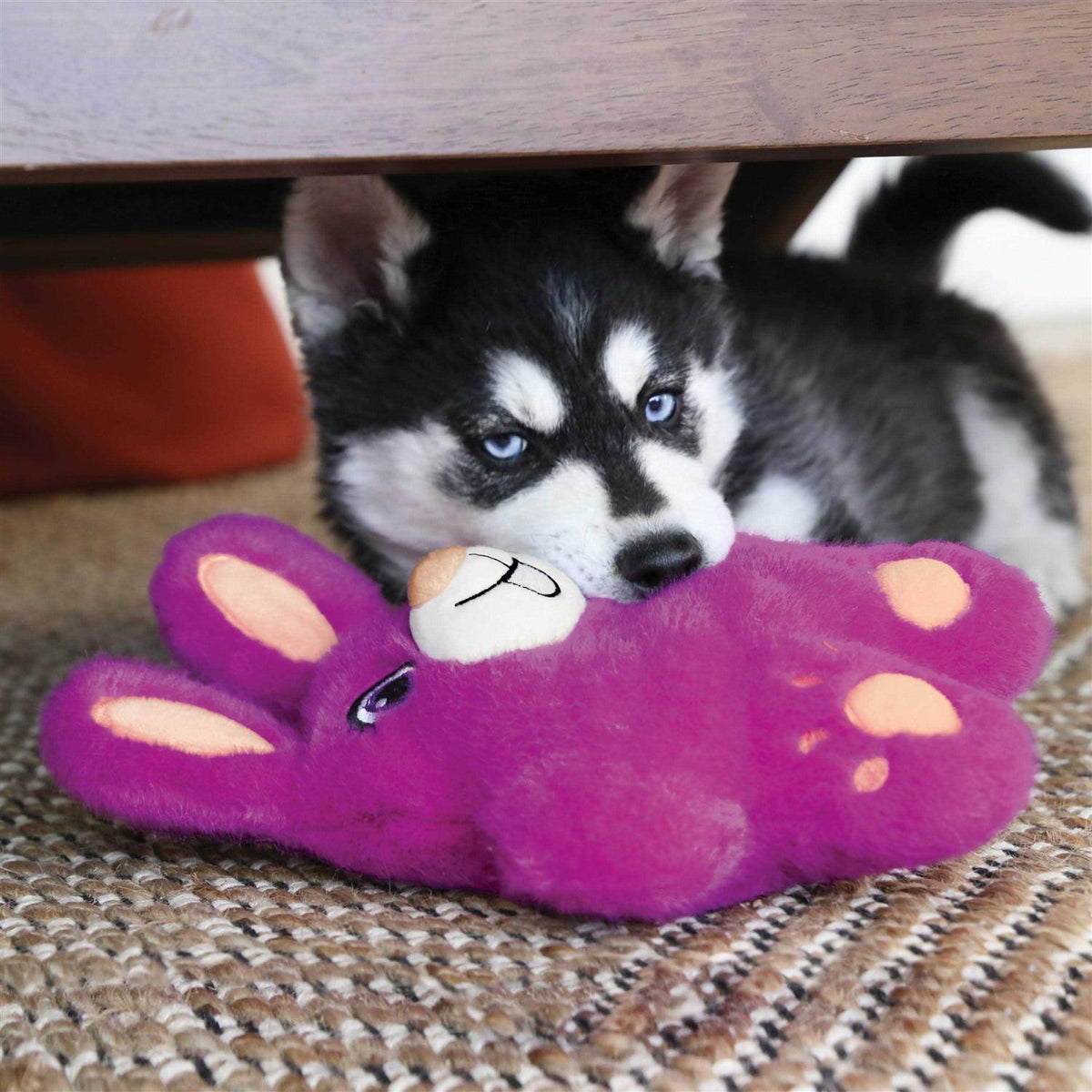 Koala Dog Toy D135