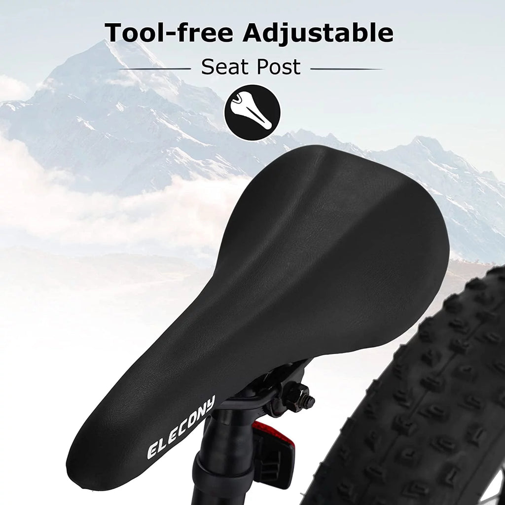 24 inch Mountain Bike with Fat Tires P408