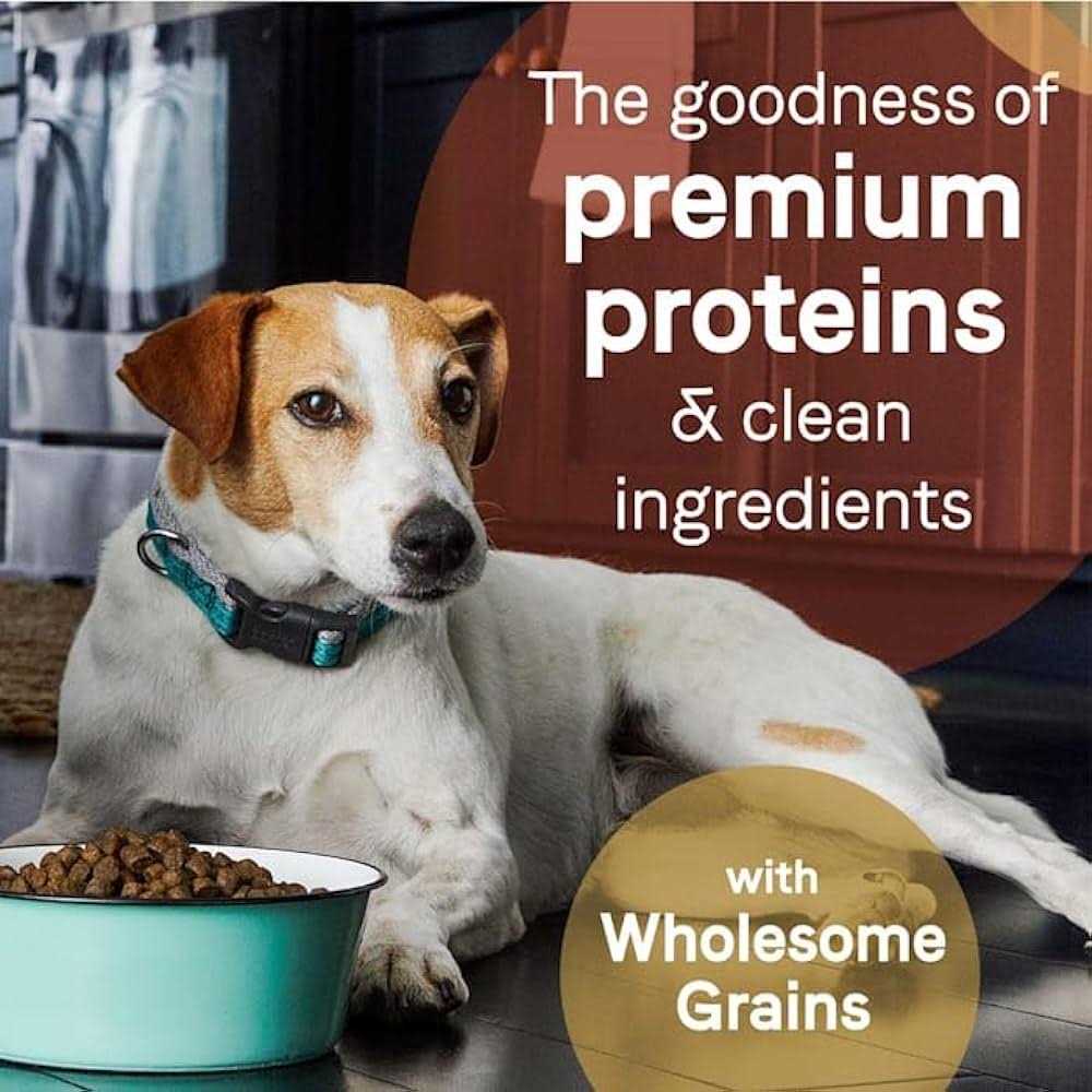 Grain Free Salmon & Sweet Potato Dry Dog Food M2014