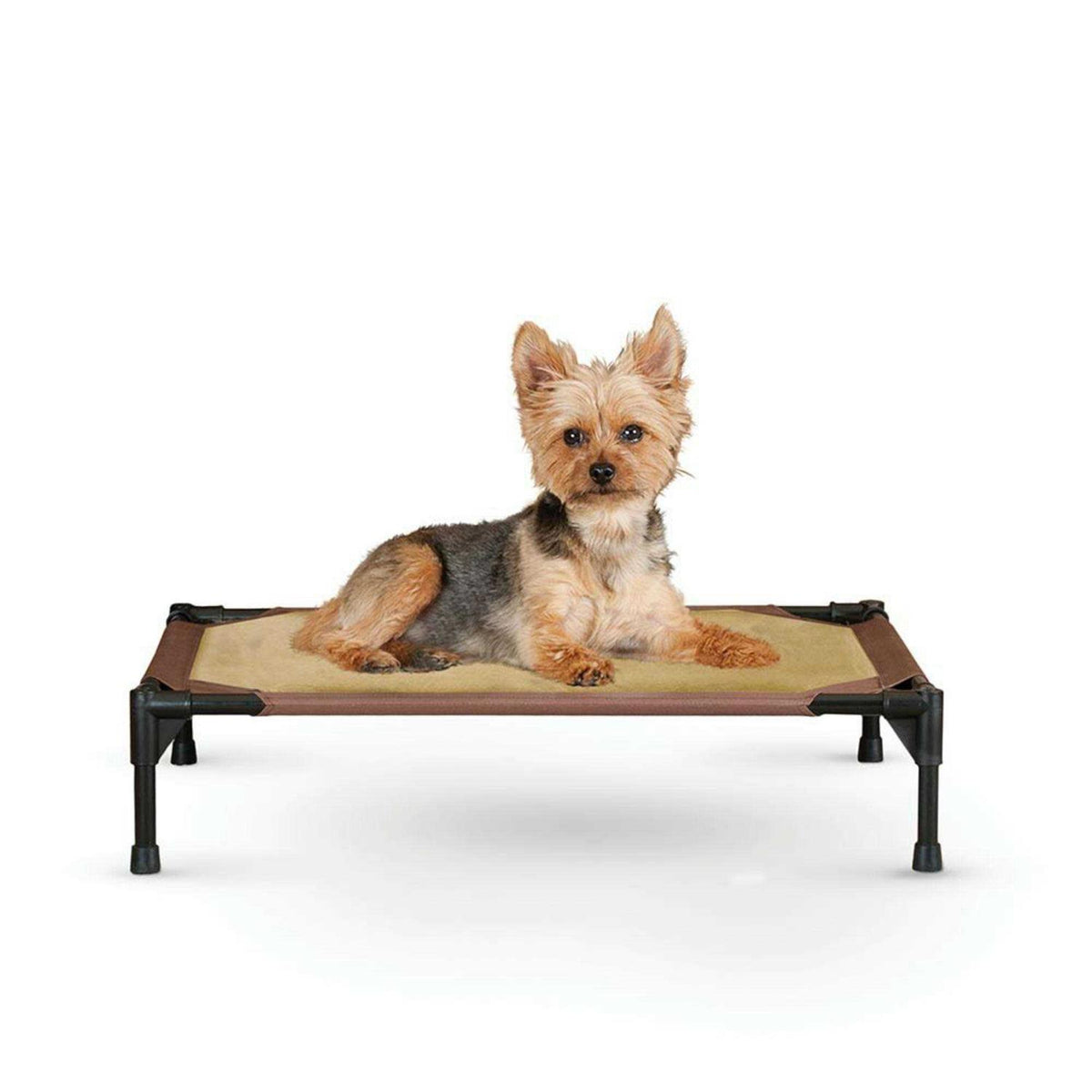 Pet Cot Y97999