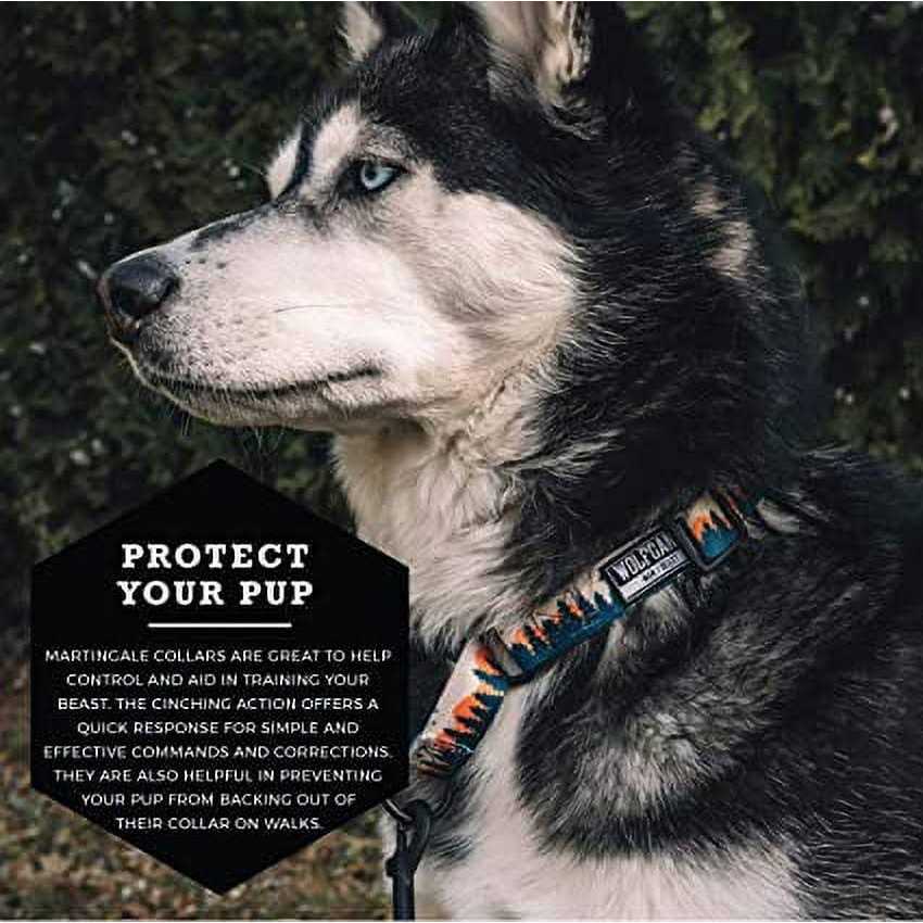Martingale Dog Collar A238
