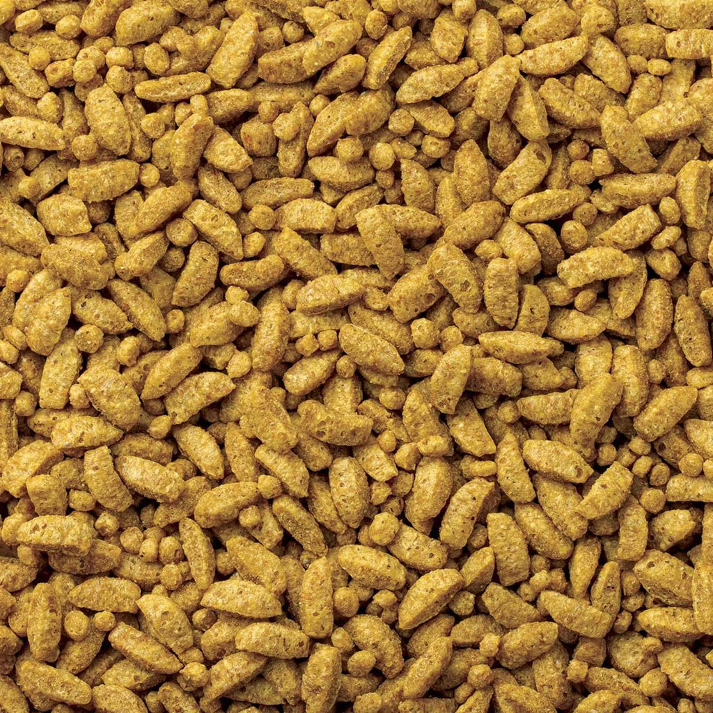 Small Bird Diet Food L170608