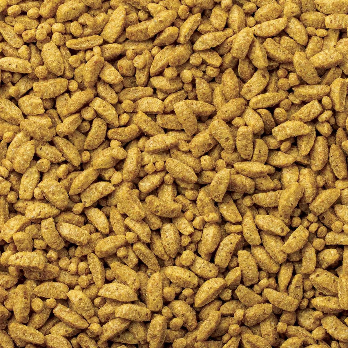 Small Bird Diet Food L170608