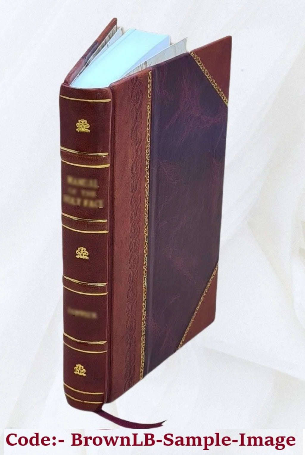 Satiras de Iuuenal Leather Bound P618