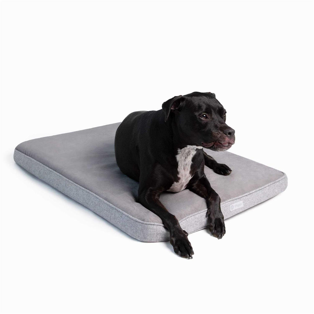 Memory Foam Dog Bed E3434