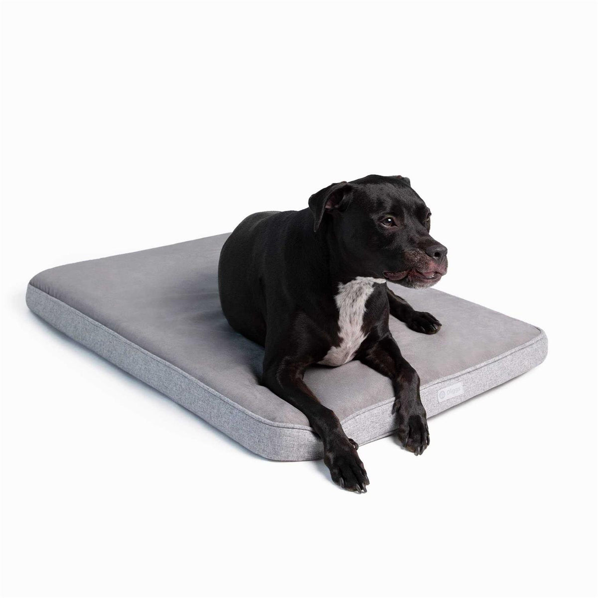 Memory Foam Dog Bed E3434