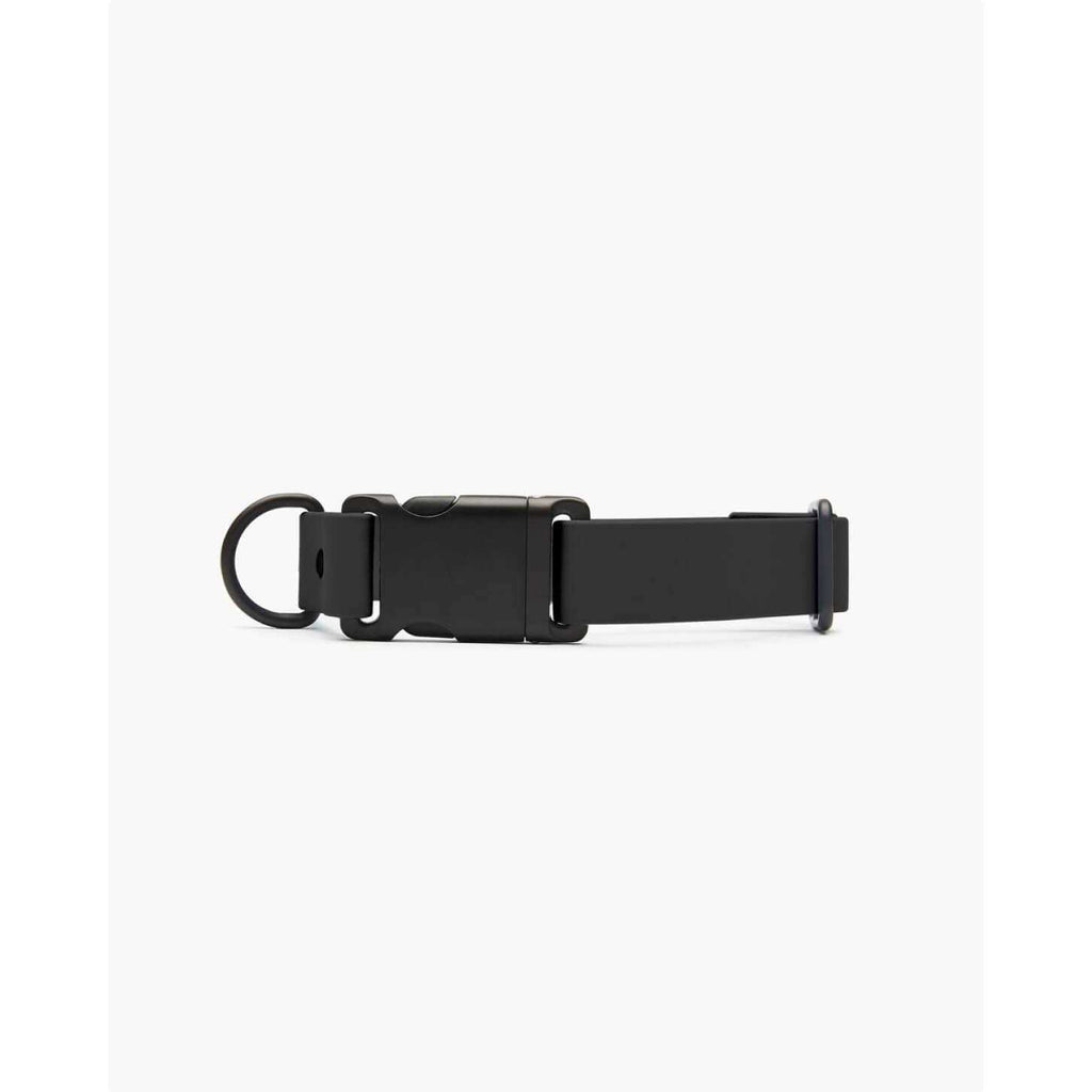 Dog Collar T771426