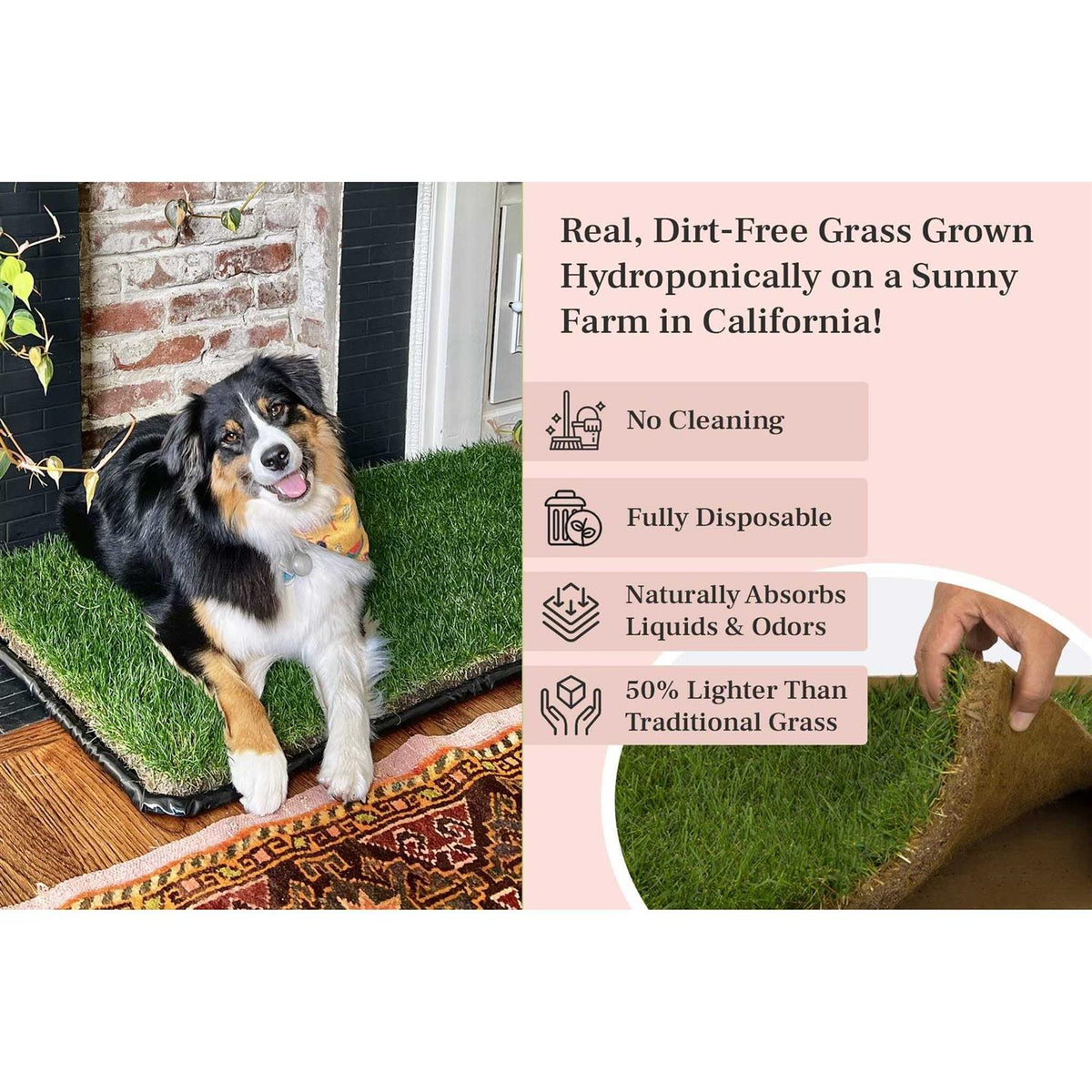 Dog Potty Real Grass C733